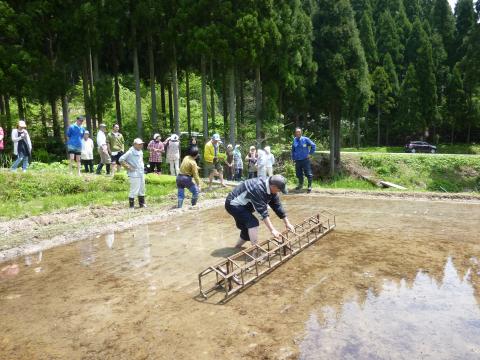 吉ヶ池作業の様子1