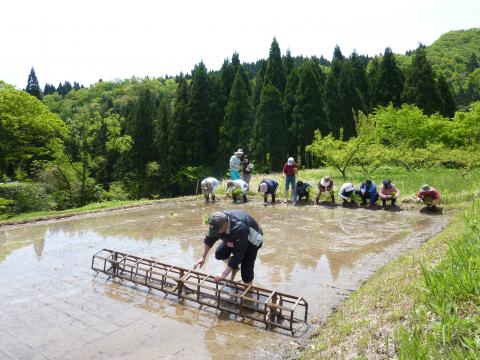 吉ヶ池作業の様子4