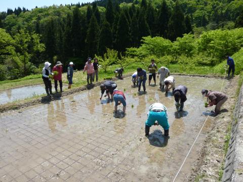 吉ヶ池作業の様子6