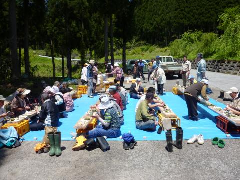 吉ヶ池昼食2