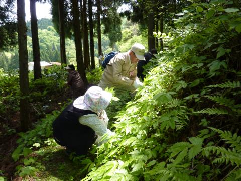 吉ヶ池散策