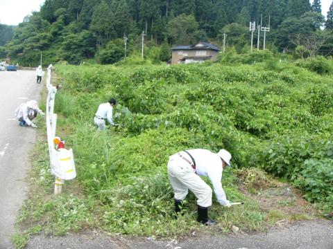 作業の様子3