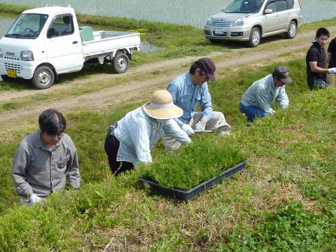 久江集落作業の様子4