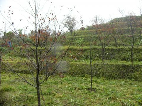 作業後4