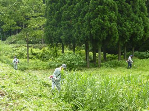 東谷地区作業の様子1