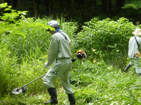 東谷地区作業の様子2