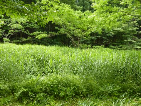 東谷地区作業前