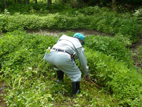 東谷地区作業の様子3