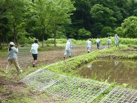 東谷地区作業の様子1