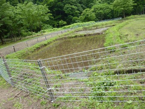 東谷地区作業の様子4