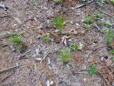 おらっちゃの里山里海