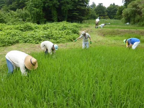 おらっちゃの里山里海作業の様子1