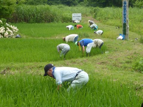 おらっちゃの里山里海作業の様子2