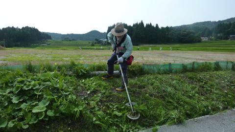 金蔵集落作業の様子1