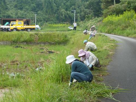 海沿いの農道での草刈り2