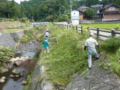 川沿いの草刈り