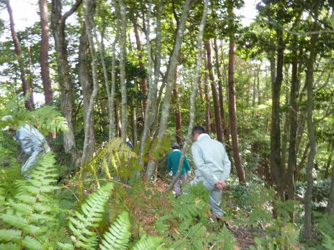 山の散策