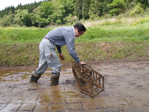 大呑作業の様子4