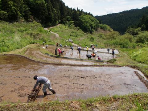 大呑作業の様子3