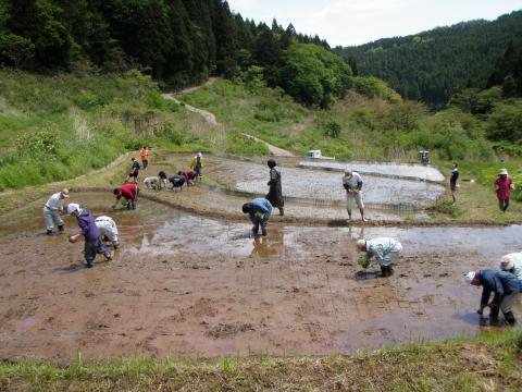 大呑作業の様子5