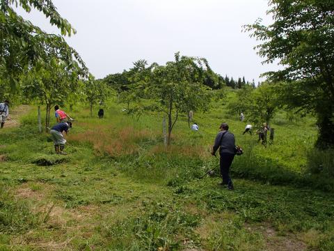 金蔵集落作業の様子4