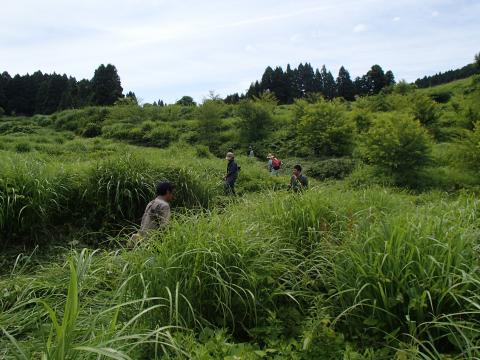 丸山作業1