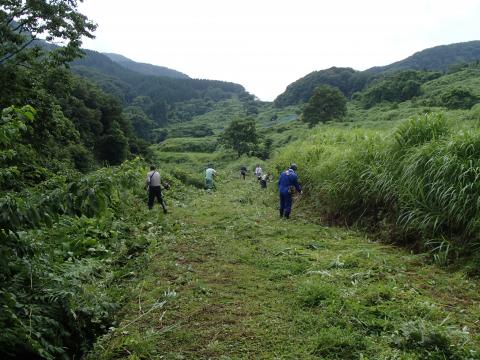 大呑作業の様子