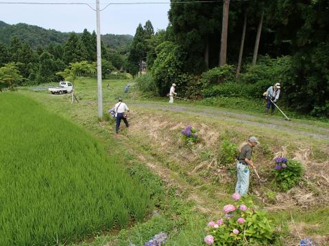 洲巻作業の様子3