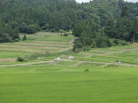 洲巻風景2