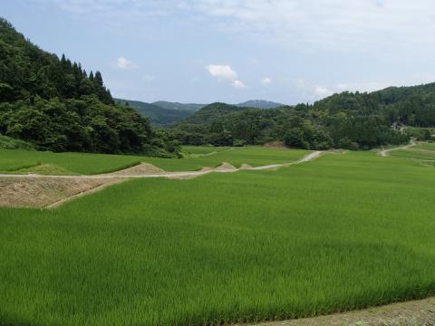 洲巻風景1