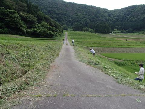 洲巻作業の様子