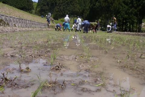 吉ヶ池作業後1