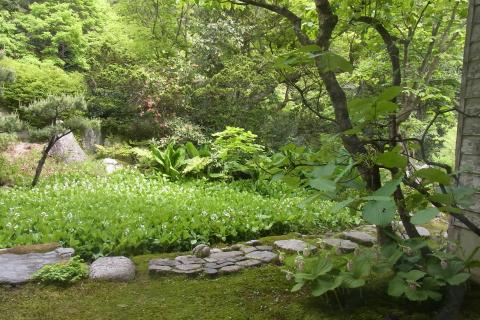 吉祥寺1