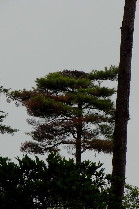 おらっちゃの里山里海散策5