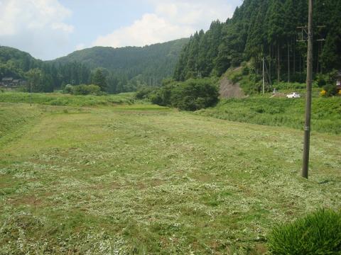 春蘭の里作業後1