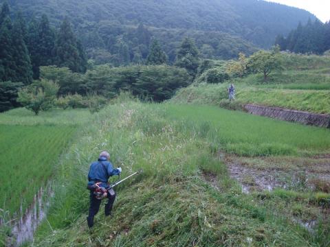 吉ヶ池作業の様子2