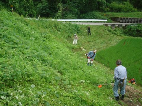 吉ヶ池集落作業の様子1