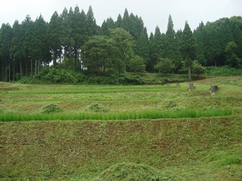 吉ヶ池集落作業の様子1