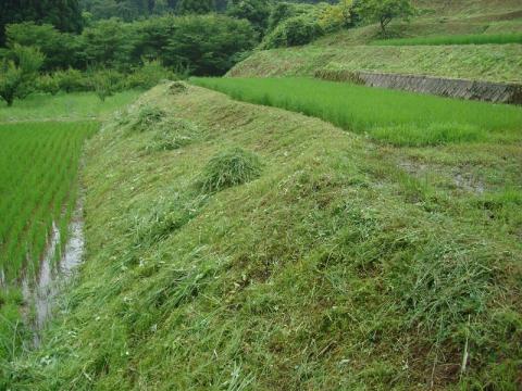 吉ヶ池集落作業後3