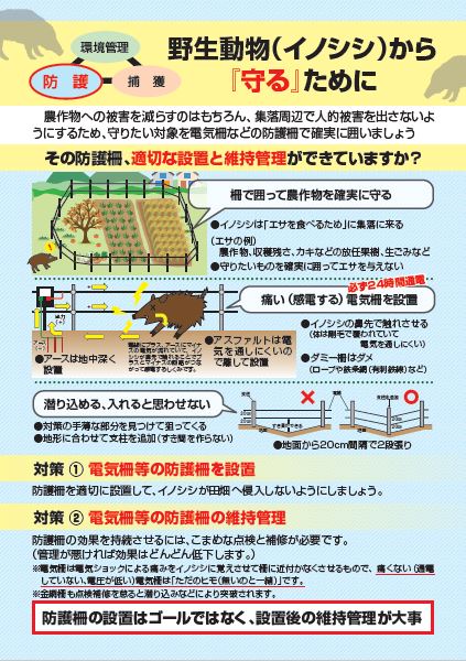 防護柵の点検（侵入防止）