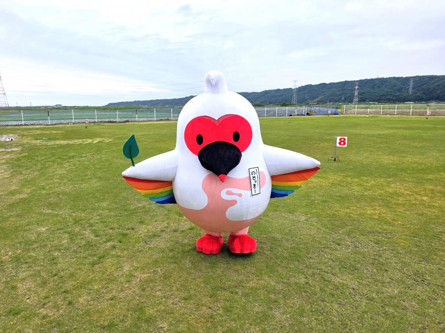 のとっきー写真