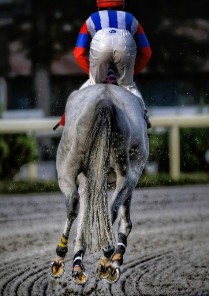 金沢競馬写真コンテスト3