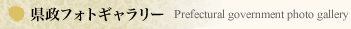 県政フォトギャラリー