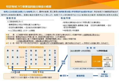 特定地域づくり事業協同組合の概要