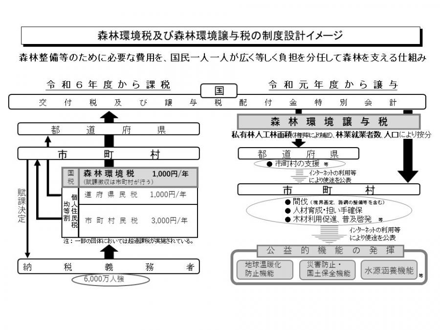 森林環境税及び森林環境譲与税の制度設計イメージ