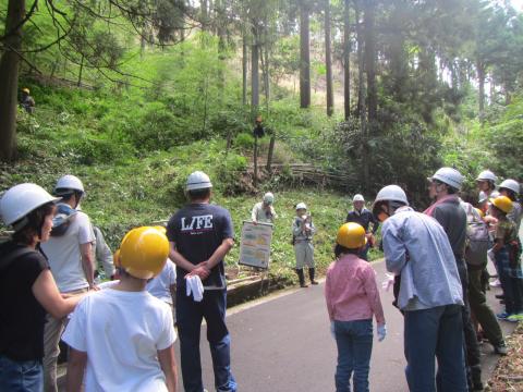 放置竹林の伐採現場見学1