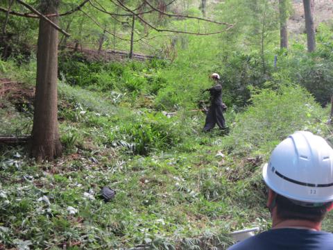 放置竹林の伐採現場見学2