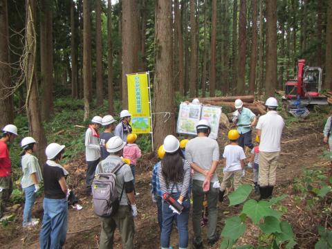 間伐現場見学の様子1