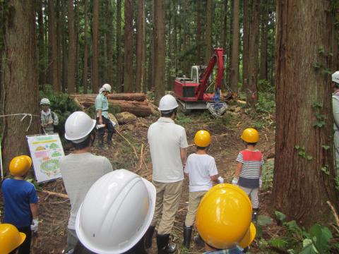 間伐現場見学の様子2