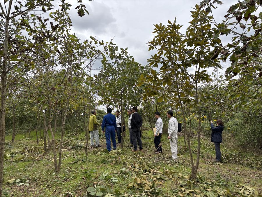 10月22日企業の森づくり現地見学会2